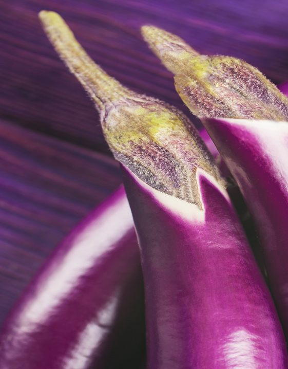 Trend PURPLE: Aubergine Mood